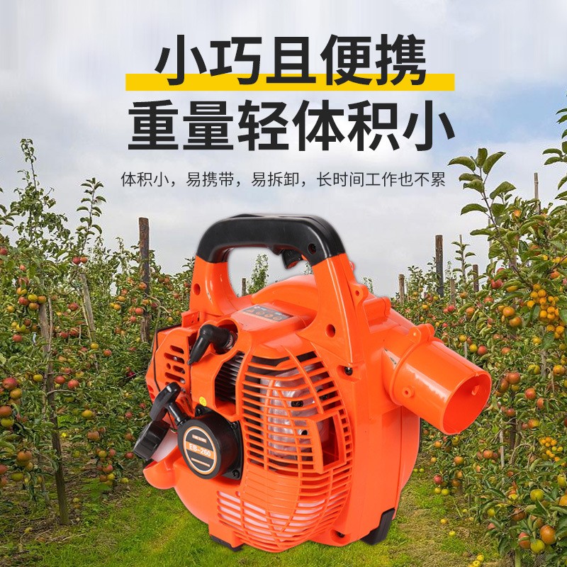 二四冲程风力灭火机大功率背负式汽油大棚树叶吹风机道路吹雪机图5