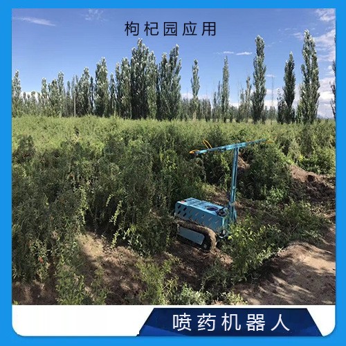 果园农场自动机器人打药设备 履带式定位喷药机 果园喷药机器人图4