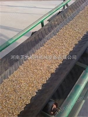 大力发展水稻烘干机的重要性和必要性图5