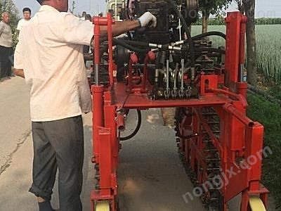 成帆DX-22型大葱收获机图3