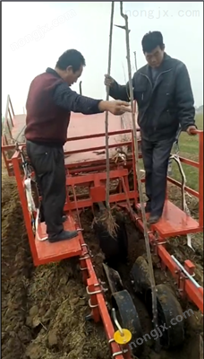 适合大面积种树的机械全自动植树机图5