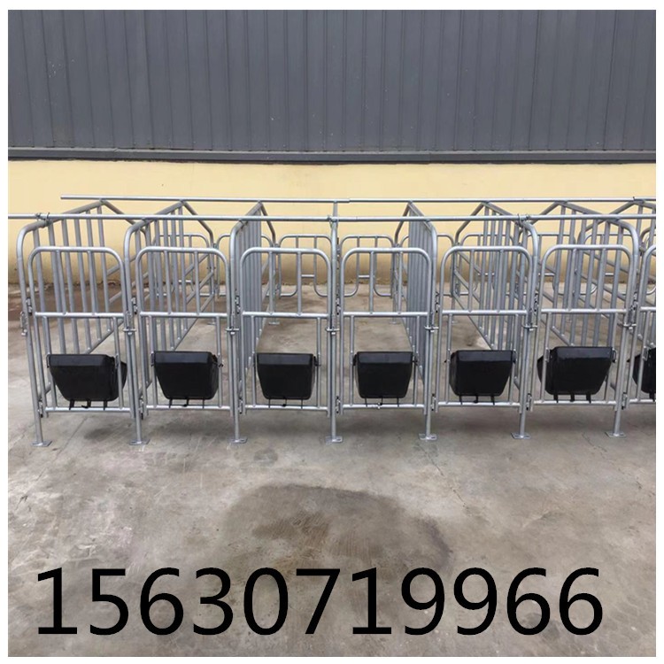 养殖场用 厚热镀锌管大架厚钢板食槽子落地母猪定位栏限位栏 工厂图3