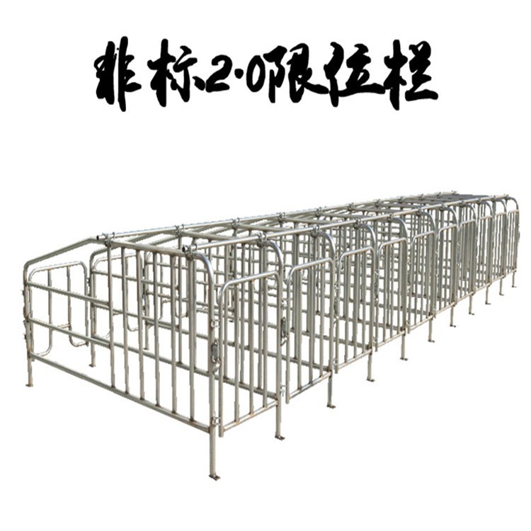 养殖场用 厚热镀锌管大架厚钢板食槽子落地母猪定位栏限位栏 工厂图5