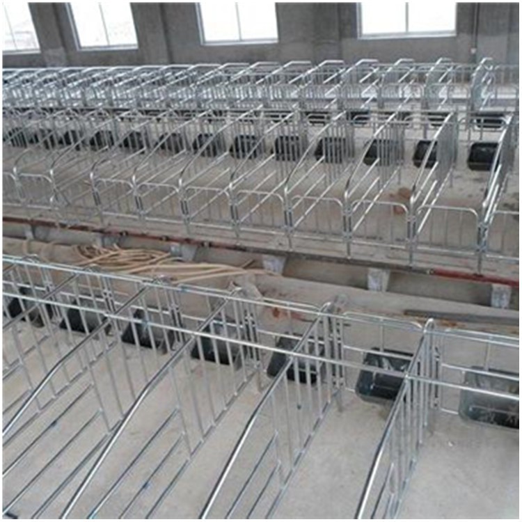 养殖场用 厚热镀锌管大架厚钢板食槽子落地母猪定位栏限位栏 工厂图4