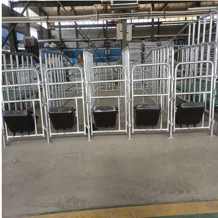 养殖场用 厚热镀锌管大架厚钢板食槽子落地母猪定位栏限位栏 工厂图2