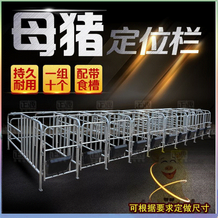 养殖场用 厚热镀锌管大架厚钢板食槽子落地母猪定位栏限位栏 工厂