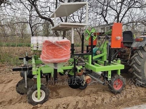 秧苗移栽机 蔬菜 辣椒 中药 适用图5