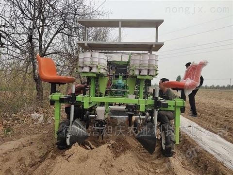 秧苗移栽机 蔬菜 辣椒 中药 适用图4