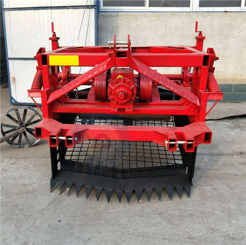 大型*黄芩党参收获挖药机图5