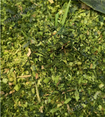 青储机青贮机青饲料收获机后悬挂双圆盘割台图5