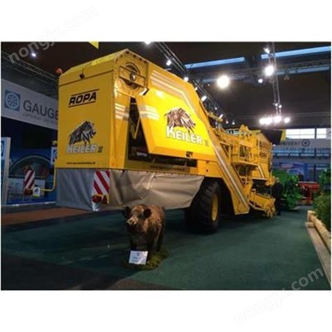 德国ROPA野猪两行土豆收获机图5