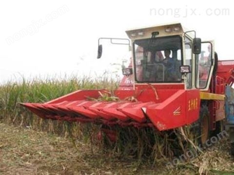 自走式玉米收割机图2