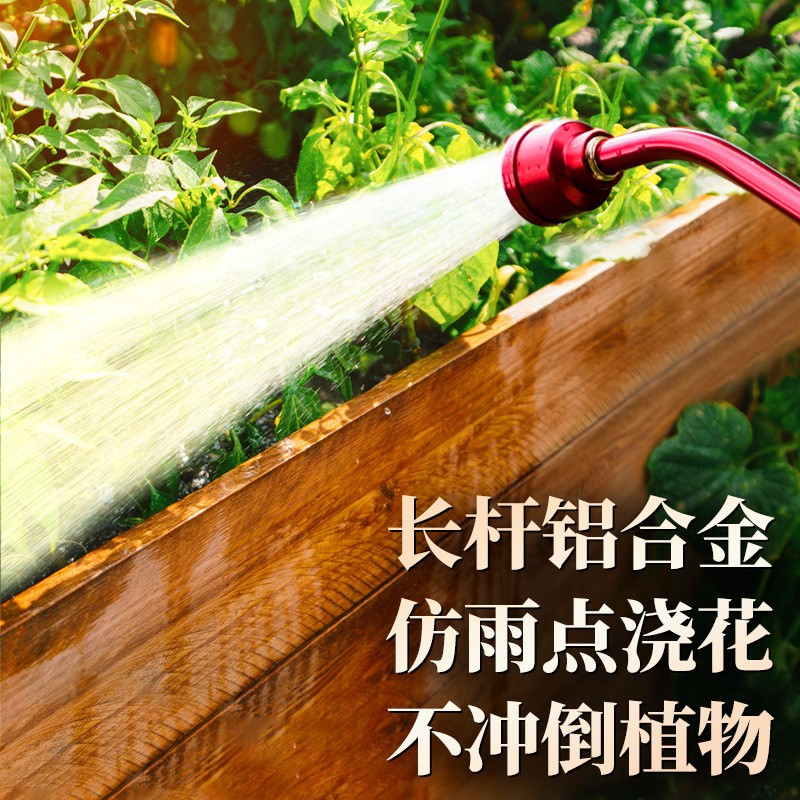 园艺浇花神器长杆水枪园林浇水水管育苗喷头1000目育苗枪花洒批发图3