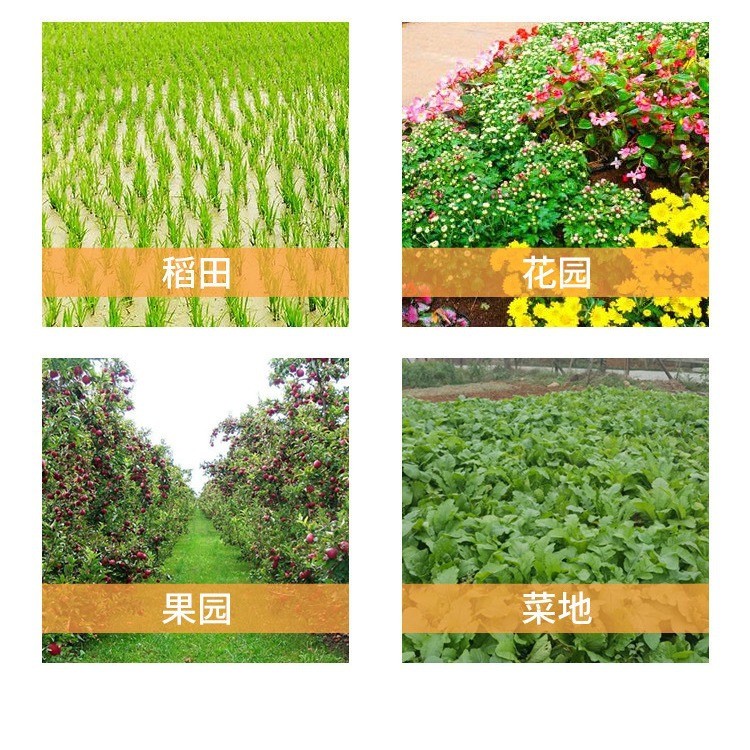 打药喷枪高压泵机动打药水枪可调加厚喷雾化远程水枪农用高压水枪图4