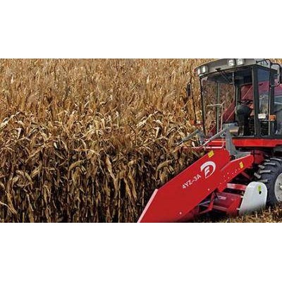 大丰王4YZ-3A自走式玉米联合收获机