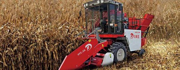 大丰王4YZ-3A自走式玉米联合收获机图4