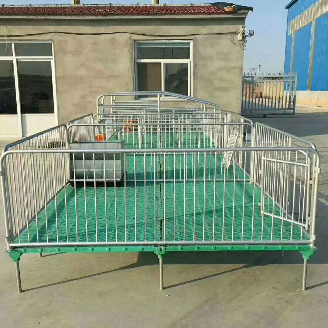 仔猪复合保育床国际热镀锌管带复合漏粪板和料槽养猪养殖牧畜设备图3