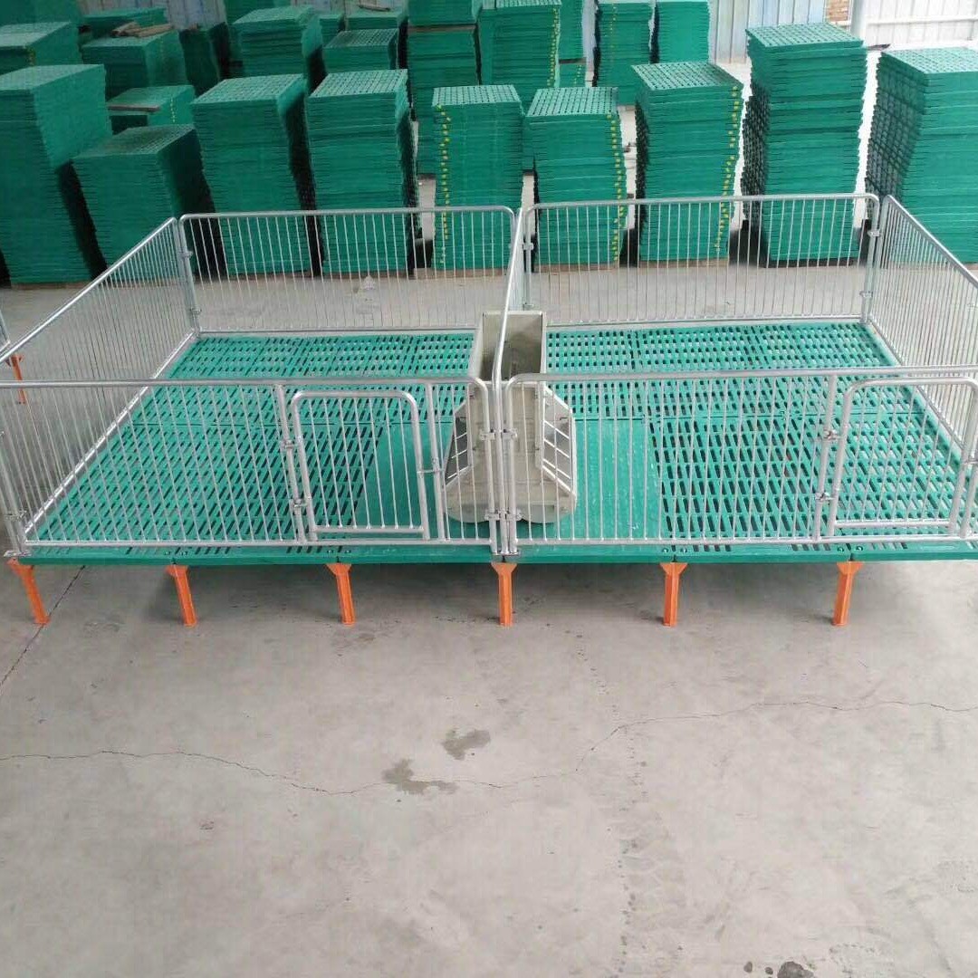 仔猪复合保育床国际热镀锌管带复合漏粪板和料槽养猪养殖牧畜设备图4