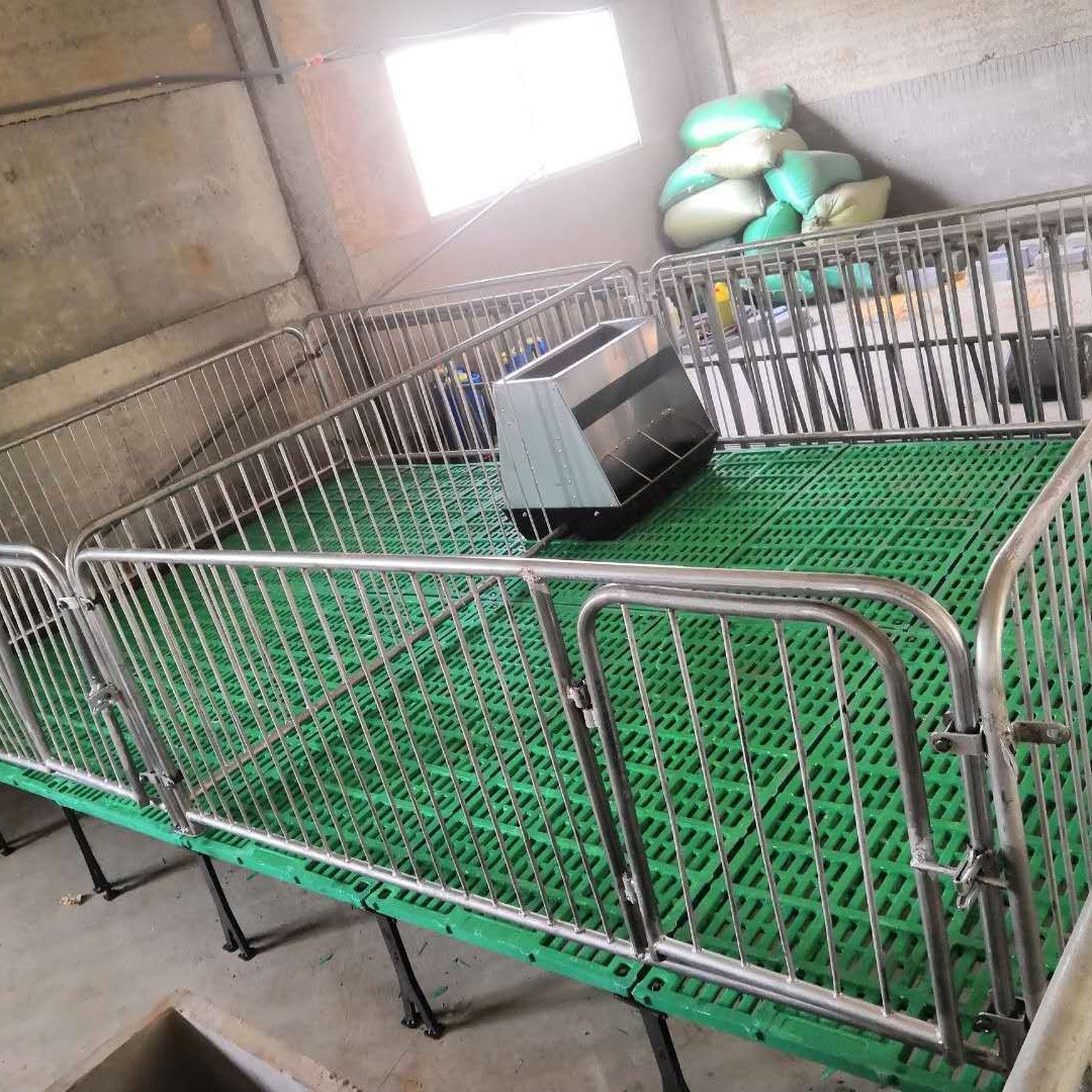 仔猪复合保育床国际热镀锌管带复合漏粪板和料槽养猪养殖牧畜设备图5