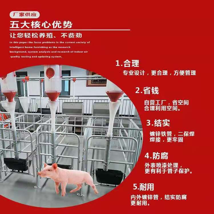 供应猪用定位栏限位栏 猪场养猪带食槽养猪设备猪定位栏厂家批发图3