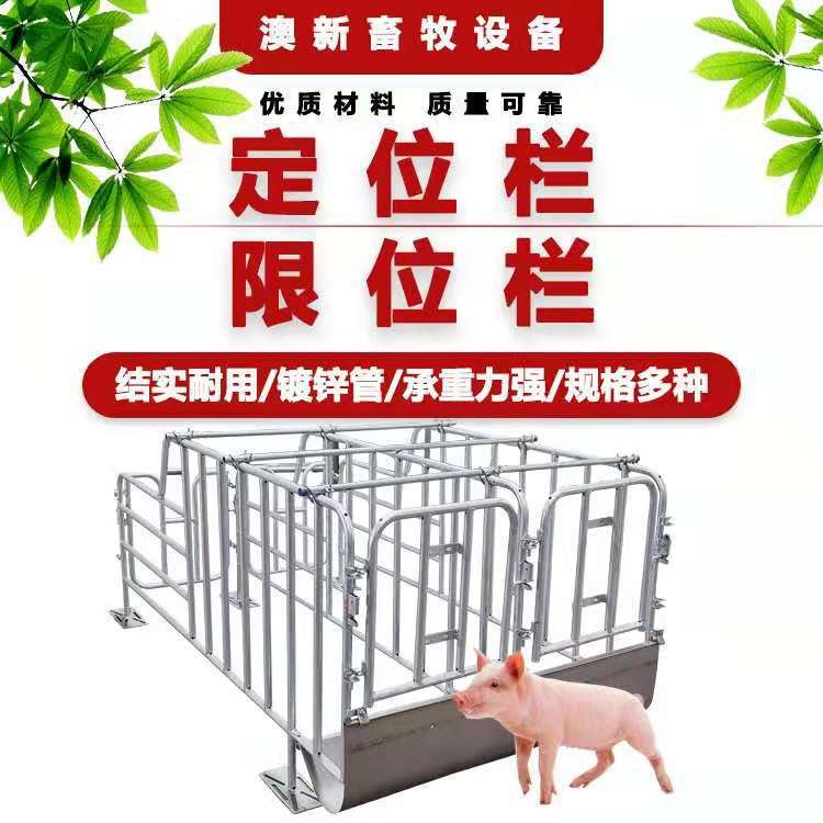供应猪用定位栏限位栏 猪场养猪带食槽养猪设备猪定位栏厂家批发图2