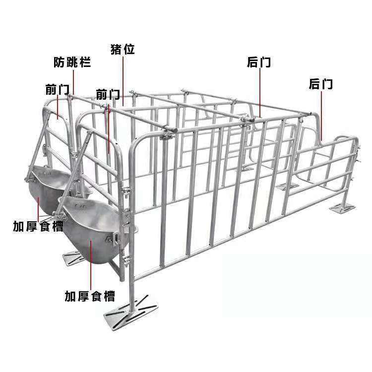 供应猪用定位栏限位栏 猪场养猪带食槽养猪设备猪定位栏厂家批发图4