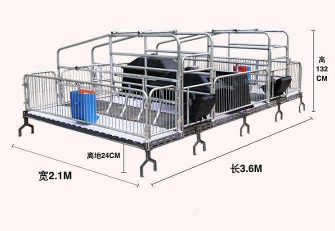 厂家供应母猪产床复合双体母猪产床加厚母猪产床图3