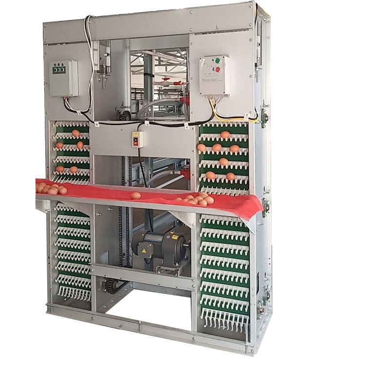 层叠式鸡笼拾蛋机批发 全镀锌自动捡蛋设备大量供应立式收蛋机图4