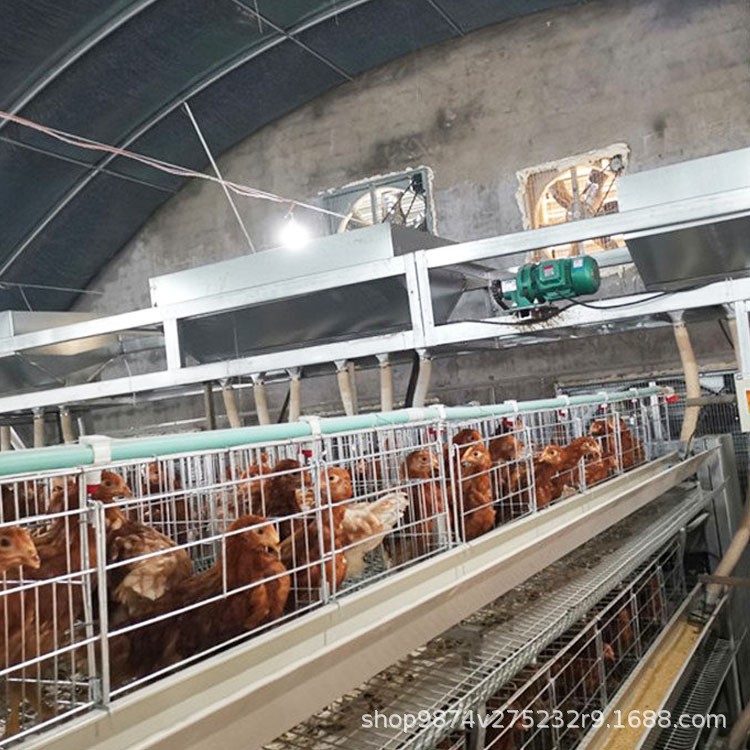 养鸡场自动饲喂设备 大型规模化鸡舍喂料机 可行走喂饲料设备图4