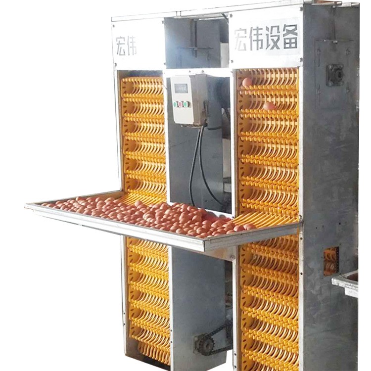 自动化拣蛋机视频 高密度养鸡设备整套收蛋设备工厂直发拣蛋设备图5