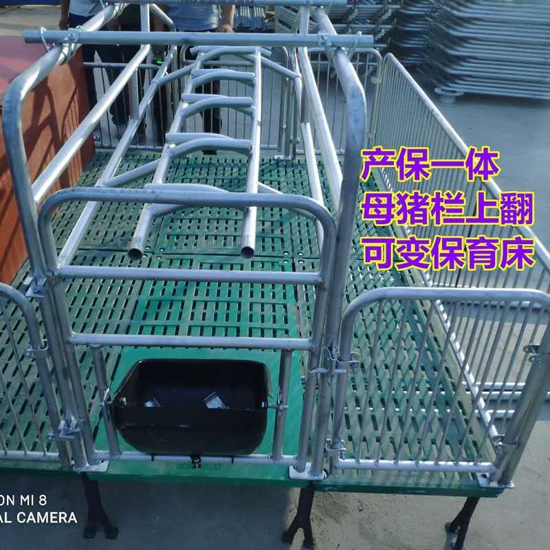 母猪产床复合板分娩产床热镀锌双体产床定位栏保育床猪用养殖设备图5