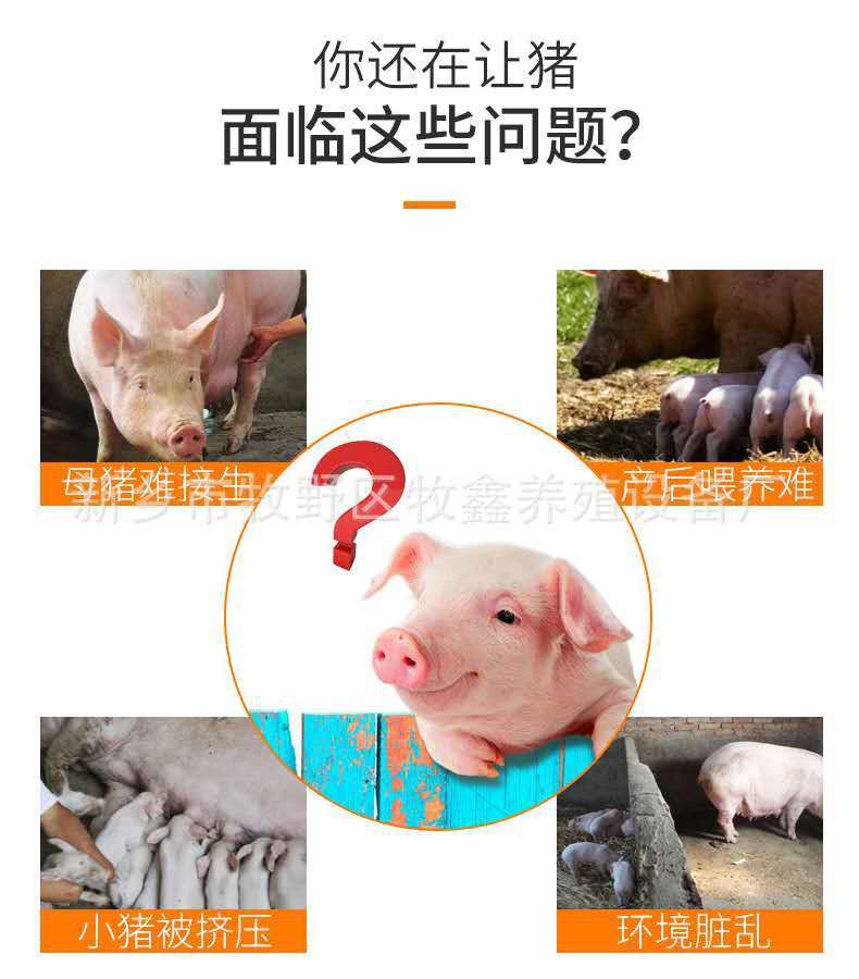 母猪产床复合板分娩产床热镀锌双体产床定位栏保育床猪用养殖设备图4