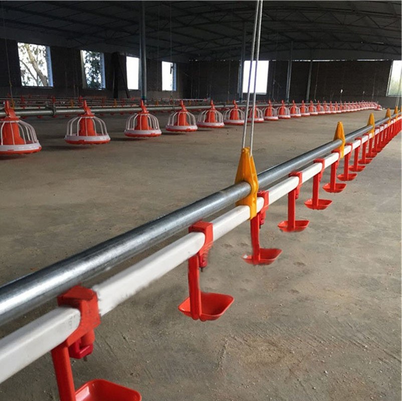 鸡舍水线自动平养肉鸡养殖水线设备平养鸡自动化供水鸡鸭用饮水线图2