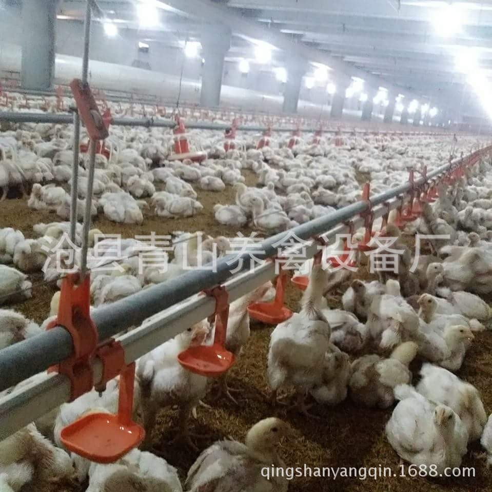 鸡舍水线 自动平养鸡舍养殖水线肉鸡水线鸡鸭子鹅饮水线供水系统图2