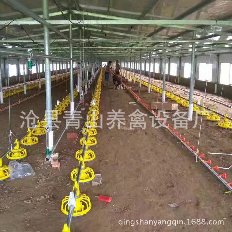 自动料线 鸡舍养鸡料线 养鸡自动料线 肉鸡养殖设备 平养鸡料线图3