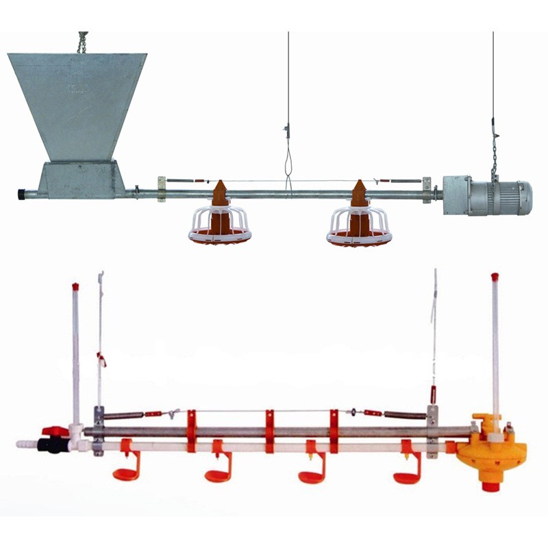 自动料线 鸡舍养鸡料线 养鸡自动料线 肉鸡养殖设备 平养鸡料线