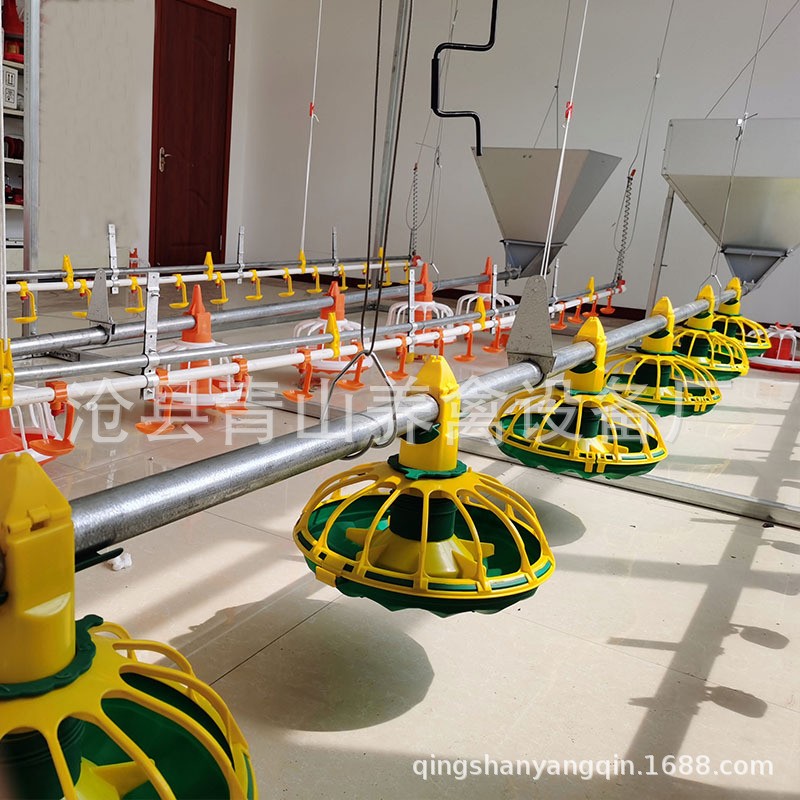 自动料线 鸡舍养鸡料线 养鸡自动料线 肉鸡养殖设备 平养鸡料线图2