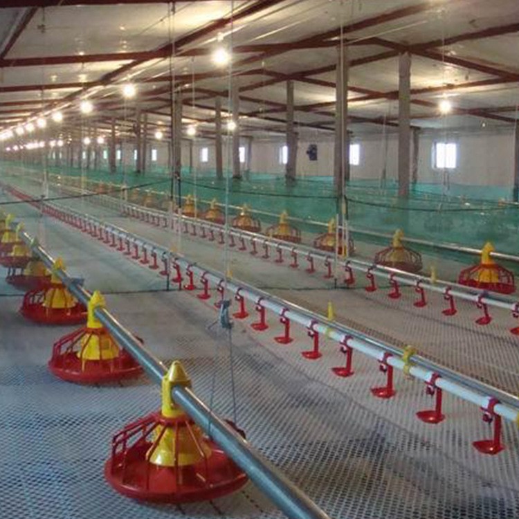 自动料线 平养鸡自动料线 散养肉鸡料线 鸡自动喂料设备鸭子鹅料图2