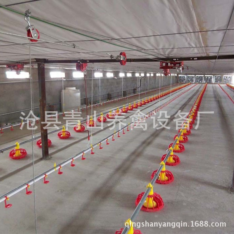 自动料线 平养鸡自动料线 散养肉鸡料线 鸡自动喂料设备鸭子鹅料图4