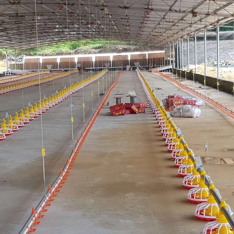 厂家定制畜牧养殖喂料线水料线鸡鸭鹅饲料线养殖自动化升降喂料线图4