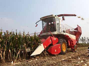 雷沃谷神4YZ-4B1自走式玉米联合收获机图4