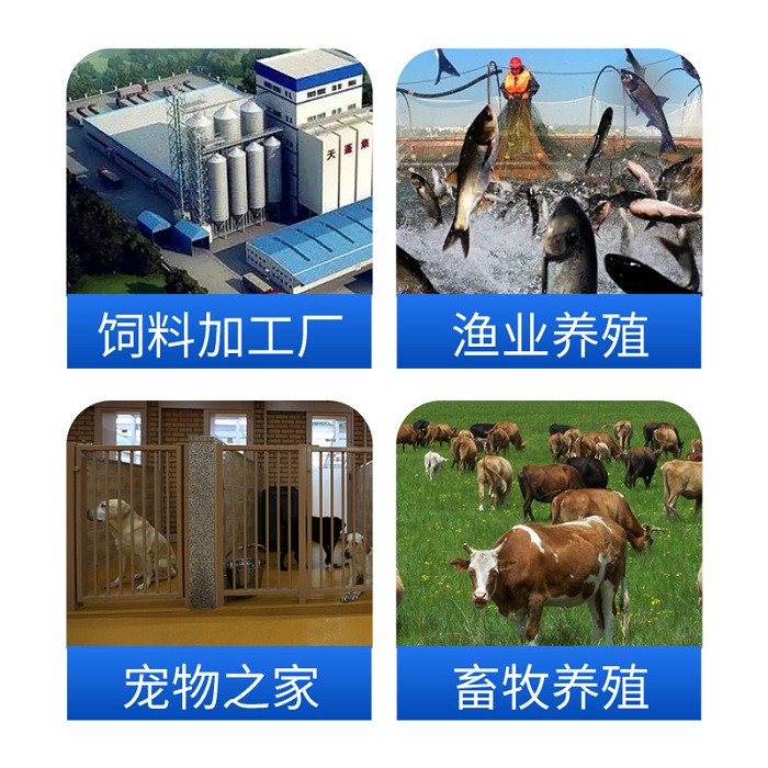 鱼饲料颗粒机水产养殖自动膨化机宠物猫鸟虾龟漂浮饵料小型狗粮机图4