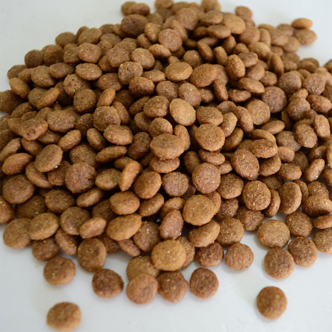 林阳宠物狗粮饲料生产线膨化狗粮饲料生产线图3