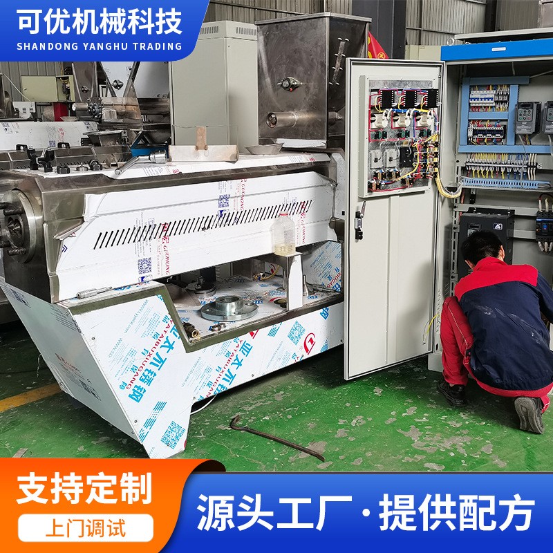 油炸膨化食品生产设备双螺杆挤压膨化机 锅巴生产线 油炸麻花机械图2