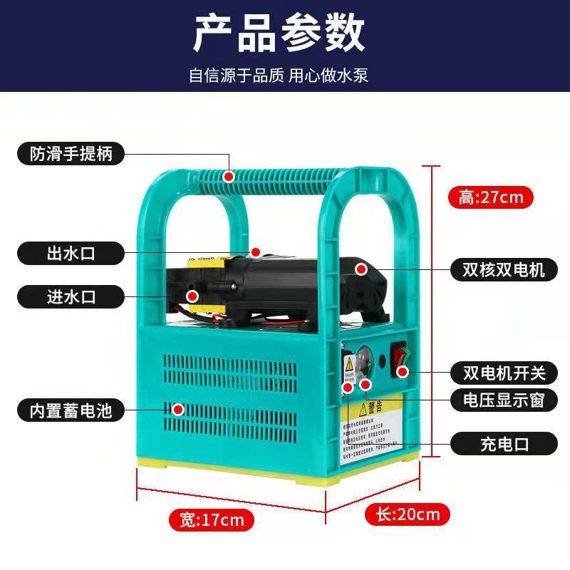 打药机手提电动喷雾器多功能抽水机农用果树喷药机高压隔膜双泵机图5