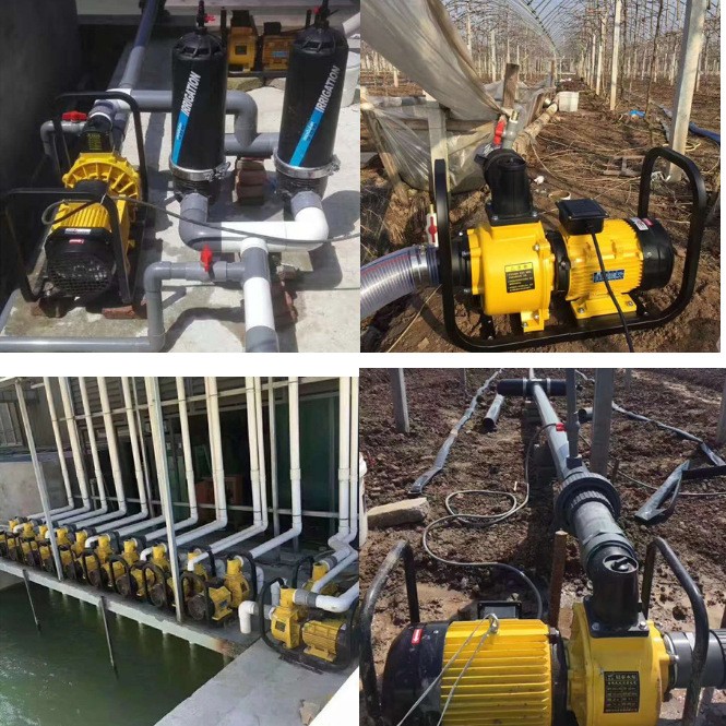 大流量自吸泵水泵喷灌离心泵DSU123456寸农用电泵高扬程高压灌溉图3