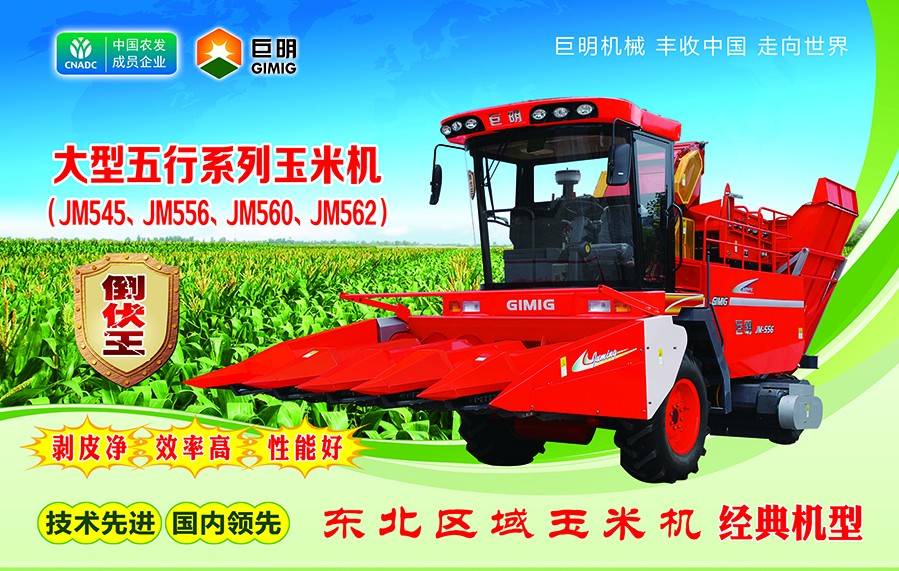 五行-大16开 五行-大16开.jpg