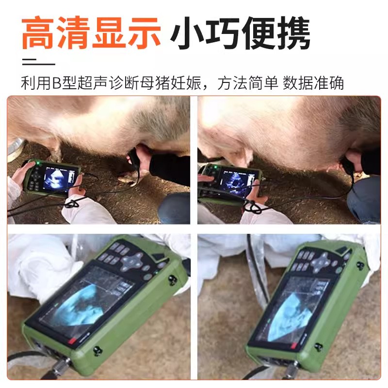 兽用B超机 机械探头 5.6英寸彩色兽用B超机猪狗羊用超声波诊断仪图2