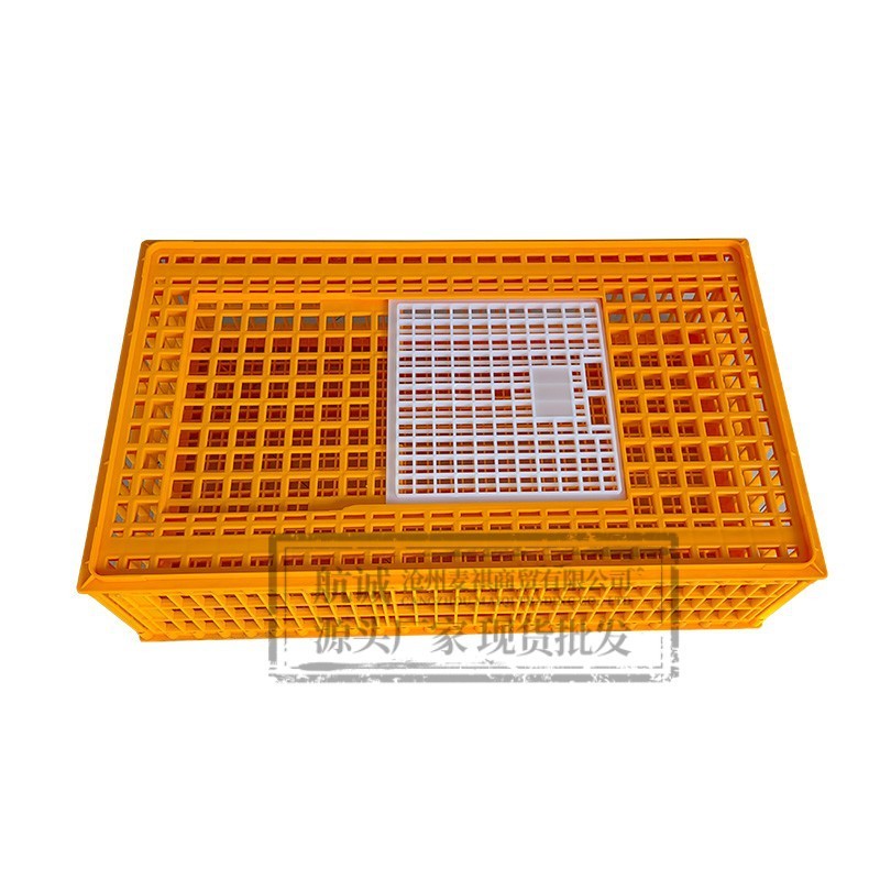 鸡笼周转箱出口款特大号鸡笼子鸭鸽兔鸡用家禽运输筐塑料鸡框批发图5