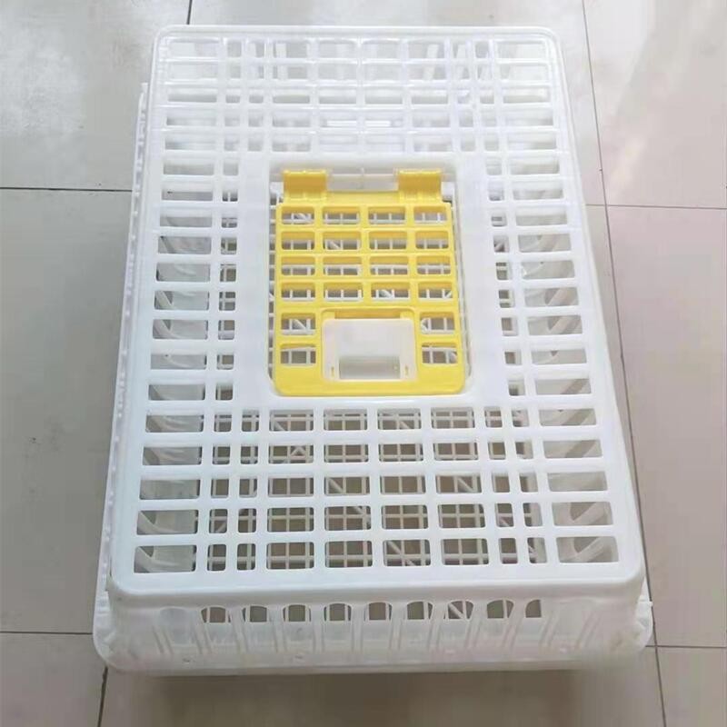 鸡笼周转箱塑料鸡箱鸡运输笼周转笼 鸽兔运输笼 家禽周转筐 鸡筐图2